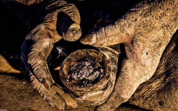 Как выглядит человек, который не мылся 60 лет: впечатляющие фото обитателя подземелья
