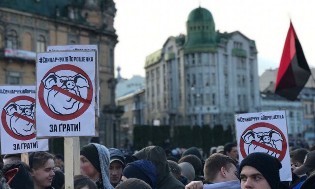 WhatsApp Image 2019-03-28 at 18.33.24(2)