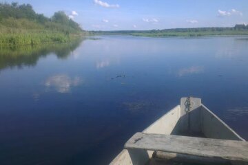 За $500 продается дом с большим участком возле озера: что в нем есть, фото