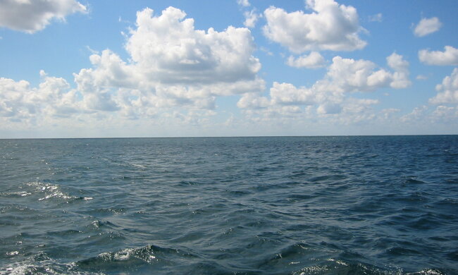 море