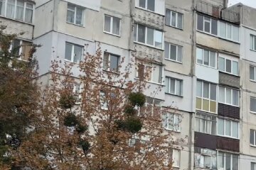 Безкоштовне житло для ВПО в Запоріжжі