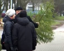 Заработали елочные базары: во сколько украинцам обойдется новогоднее дерево