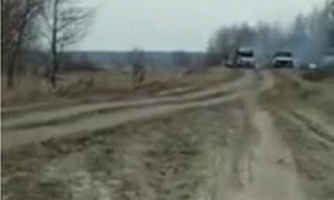 Під Черніговом окупанти підло розстріляли колону автобусів з волонтерами: не дають можливості врятувати населення