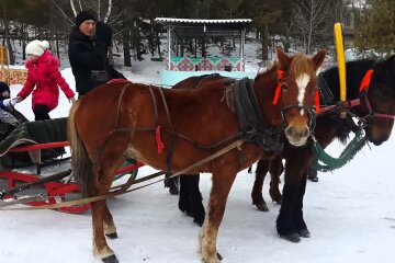 повозка