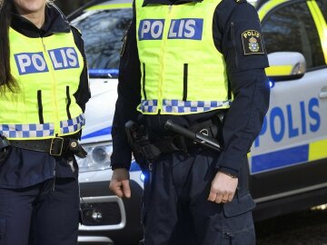 полиция, швеция