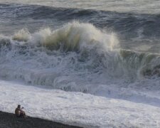 ”Пляж усіяний тілами”: вчені назвали причину катастрофи з медузами в Азовському морі
