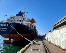 "Зберігають як у Бейруті": у порту під Одесою виявили вибухонебезпечний вантаж, фото