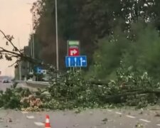 Ураган атакував Київ, затоплені вулиці і повалені дерева: відео масштабних руйнувань