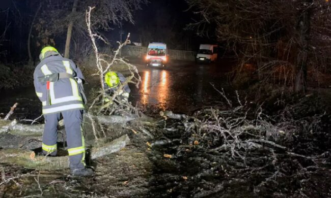 Негода увірвалась на Дніпропетровщину, з'явились кадри: заблоковані мешканці, дерева на авто та крижаний треш