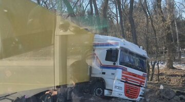 Грузовик слетел в кювет на трассе Чернигов-Киев: кадры и детали о пострадавших