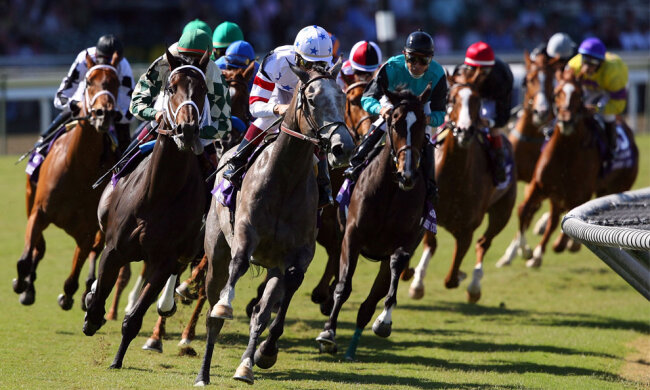 Игра не начинается: процесс легализации игорного бизнеса затормозился