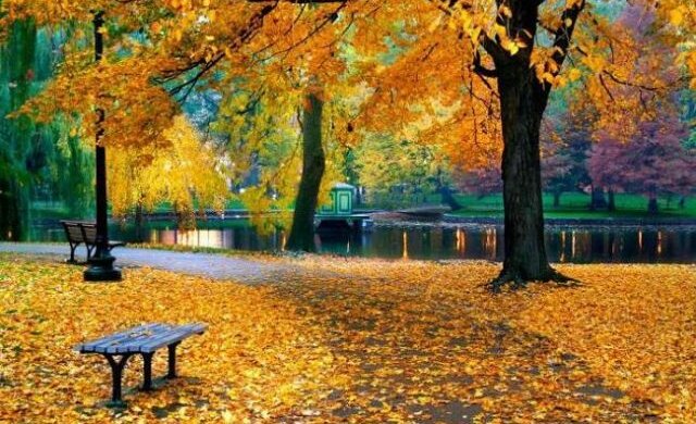 101_3_650x410-640×394