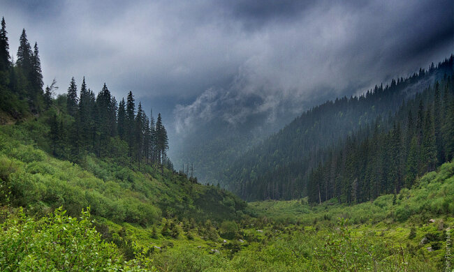 горы, карпаты, дождь