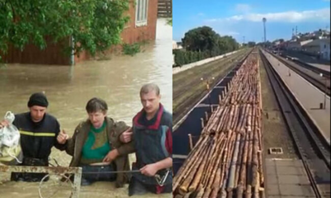 "Ще вода не встигла зійти": український ліс продовжують вивозити ешелонами, кадри