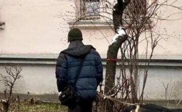 В Киеве заметили необычное животное на поводке, фото: "Повезло, что не съели на Рождество"