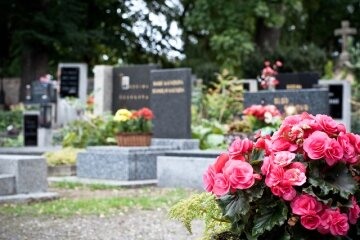 цветы, кладбище,