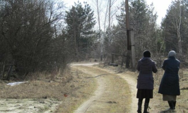 "Поки поралась по господарству": 2-річний малюк втік від мами на Житомирщині, дитину знайшли в лісі