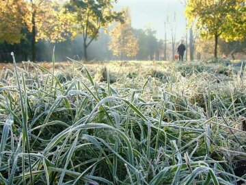 Коли в Україні вдарять заморозки, синоптики вразили прогнозом погоди: "Уже в кінці...."