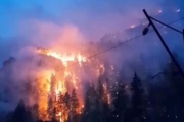 В рф выгорает дотла природный заповедник, тушить пожар некому: появилось видео