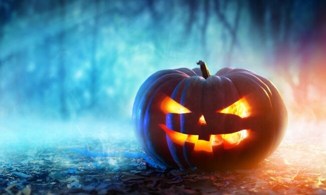 11738837915a004d1d595c87.54335903_articles_main_big