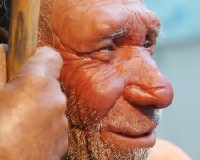 предок человека, неандерталец