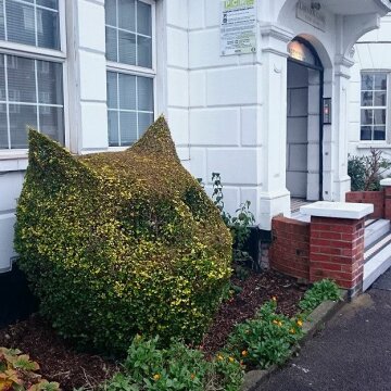 160530191703_topiary_cat_london_real_624x624_bbc_nocredit