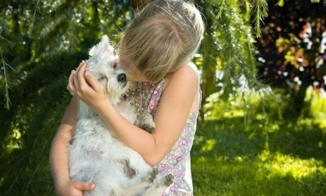 Каких животных нельзя заводить семьям с детьми: «Должны быть безопасными»