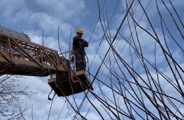 Графіки відключення світла в Одеській області на 11 грудня