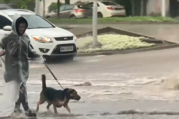 дождь, гроза, буря, непогода