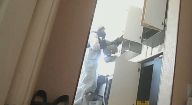 Живуть у квартирах та кусають дітей: дніпряни скаржаться на нашестя бліх і тарганів, кадри