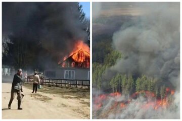 Житлові будинки знищено, в хід пішла авіація: нові кадри вогняного пекла на Житомирщині