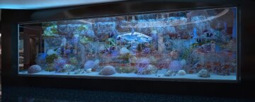 Днепровский чиновник задекларировал аквариум за полтора миллиона