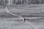 Донбасс, освобождение села