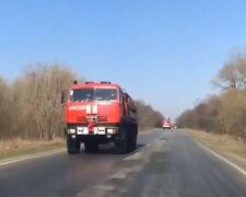 Лісова пожежа наблизилася до Чорнобильської АЕС: тривожні кадри злили в мережу