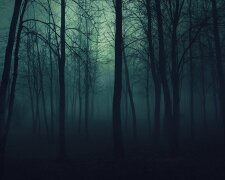 ночь призрак лес