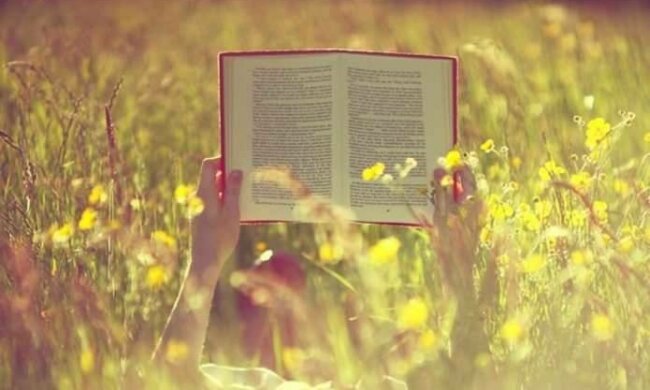 21106768_1856987934615122_5826998204959978690_n