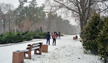 зима погода Люди сніг холод мороз парк