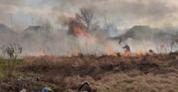 Масштабна пожежа знищила урожай на Харківщині: вигоріло 10 га