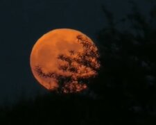 "Червоний" місяць зійшов над Одесою: оприлюднені фантастичні кадри