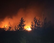 Харківщина у вогні: масштабні пожежі показали з висоти пташиного польоту, лякаючі кадри