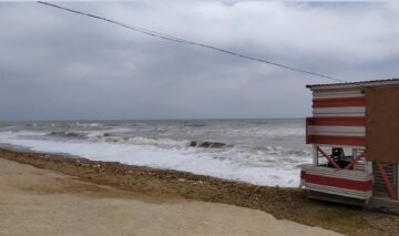 Шторм викинув на берег дельфіна під Одесою: кадри подій