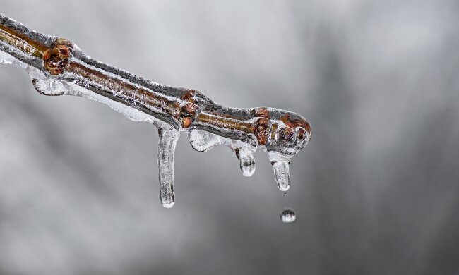 погода в Украине