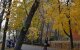 Прогноз погоди на жовтень в Кривому Розі