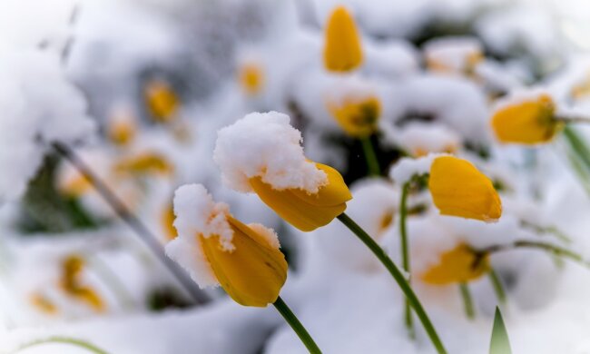 погода в Украине