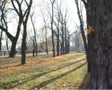 Оттепель до +12 прогнала зиму из Украины, кого погода порадует больше всех: "Будет пахнуть весной..."