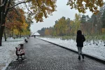 погода сніг осінь
