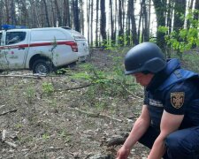 На міни і авіабомбу натрапили в Харківській області: не обійшлося без вибухів, кадри