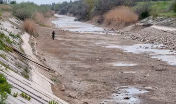 "Зате на Місяці воду знайшли": жалюгідний стан Північно-Кримського каналу на півострові показали в мережі