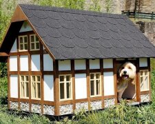 doghouse-1