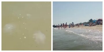 "Они просто атакуют": медузы на украинских пляжах оставляют яд в воде, видео